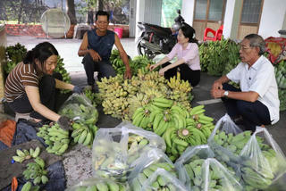 Mạch vốn chính sách 'tiếp sức' giảm nghèo ở vùng đất biên giới, biển đảo An Giang