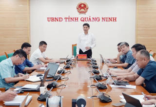 Yêu cầu xử lý dứt điểm ngập lụt, sạt lở ở 4 phường Hạ Long, Hồng Gai, Cao Xanh và Hà Lầm