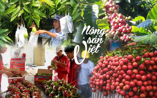 Cơ hội mới cho nông sản Việt