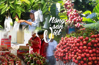 Cơ hội mới cho nông sản Việt