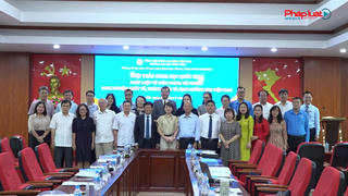 Hoàn thiện pháp luật về tiền lương tối thiểu đáp ứng yêu cầu phát triển và hội nhập