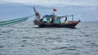 Vi phạm trong lĩnh vực thủy sản có thể bị phạt tới 2 tỷ đồng