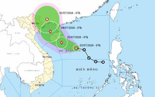 Hải Phòng chủ động ứng phó áp thấp nhiệt đới có thể mạnh lên thành bão