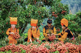 Bắc Ninh: Giữ mạch chảy vốn chính sách sau hợp nhất