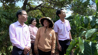 Tín dụng chính sách 'đồng hành' cùng Gia Lai trên hành trình giảm nghèo bền vững