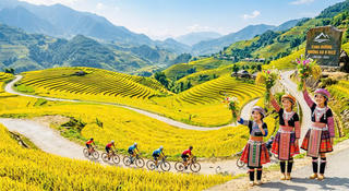 Mường Bo vào mùa vàng, sẵn sàng cho giải đua xe đạp địa hình "Vút bay trên sóng lúa vàng"