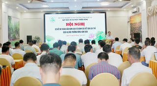 Nguồn thu từ dịch vụ môi trường rừng góp phần cải thiện sinh kế người dân 
