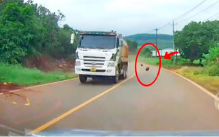 Xử phạt tài xế để đá rơi vãi sau phản ánh qua VneTraffic