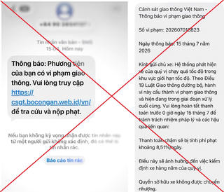 Mạo danh Cổng Dịch vụ công, lừa người dân nộp 'phạt nguội'