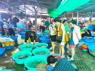 TP Hồ Chí Minh tăng cường kiểm tra an toàn thực phẩm