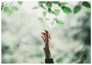 Một lời ái ngữ có thể cứu người