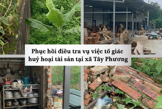 Công an TP. Hà Nội phục hồi điều tra vụ tố giác hủy hoại tài sản tại Detesco Việt Nam