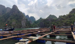 Quảng Ninh đề xuất mở rộng không gian quy hoạch nuôi biển