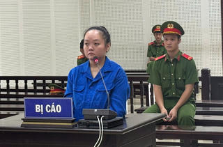 Lừa góp vốn đầu tư bất động sản, chiếm đoạt 11,69 tỷ đồng, lĩnh 17 năm tù 