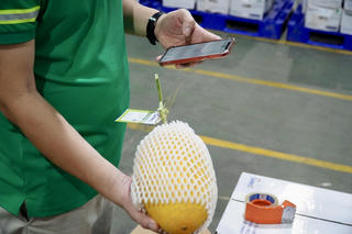 Saigon Co.op kiểm soát hàng hoá từ gốc, đẩy mạnh truy xuất, minh bạch chuỗi cung ứng