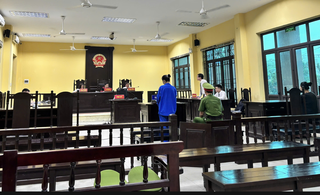 Tuyên 3 năm tù giam với nữ đối tượng hành hạ mẹ ruột hơn 80 tuổi ở Hà Nội