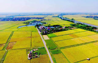 Hồ sơ miễn thuế, giảm thuế đối với thuế sử dụng đất nông nghiệp gồm những gì?