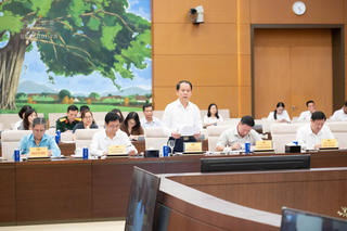 Chỉ cho - nhận con nuôi vì lợi ích tốt nhất của trẻ em