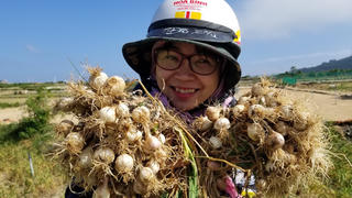 Quảng Ngãi lấy khoa học công nghệ và chuyển đổi số để nâng cao chất lượng, giá trị của sản phẩm dược liệu