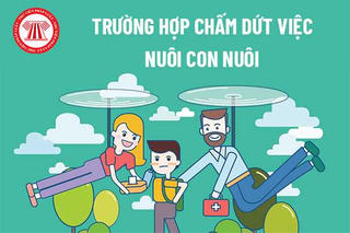 Chấm dứt nuôi con nuôi - không để trẻ “mắc kẹt” trong những gia đình không còn phù hợp