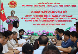 Hải Phòng: Giám sát thực hiện chính sách, pháp luật về an toàn thực phẩm tại Đồ Sơn