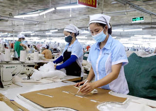 Thu ngân sách Phú Thọ tăng mạnh, khu vực FDI tăng 63,7%
