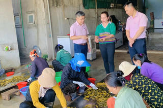 Vùng đồng bằng Yên Thành đổi thay nhờ nguồn vốn tín dụng chính sách