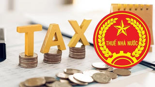 Hướng dẫn, giải đáp vướng mắc về thuế cho doanh nghiệp FDI ở Hải Phòng