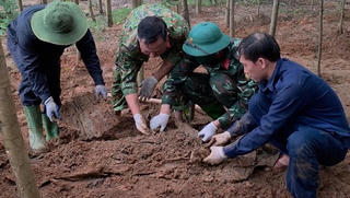 Mở rộng phạm vi tìm kiếm, phát hiện thêm hài cốt liệt sĩ ở Bãi Dinh