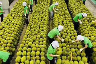Nâng cao giá trị kinh tế nông sản Việt