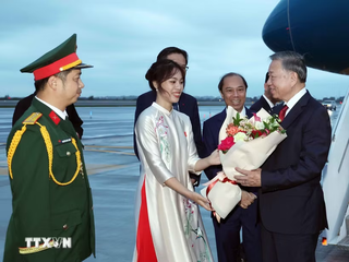 Tổng Bí thư, Chủ tịch nước Tô Lâm đến New York tham dự Phiên thảo luận cấp cao Đại hội đồng Liên Hợp Quốc khóa 81