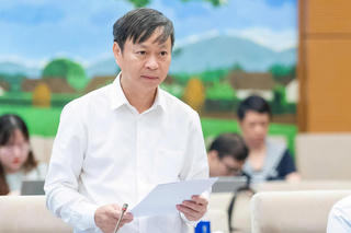 Đề xuất bãi bỏ 18 thủ tục, cắt giảm 5 điều kiện kinh doanh về sở hữu trí tuệ