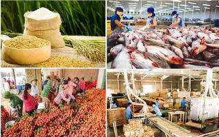 Chung tay nâng cao giá trị nông, lâm, thủy sản