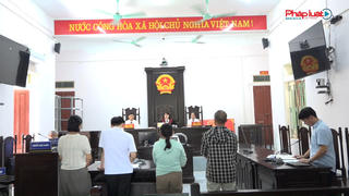Tòa án nhân dân khu vực 4 - Thanh Hóa: Tuyên hủy hợp đồng chuyển nhượng đất giả tạo, buộc bị đơn trả lại sổ đỏ