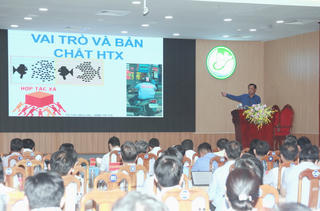 Cà Mau: Tìm hướng phát triển kinh tế tập thể, hợp tác xã trong giai đoạn mới