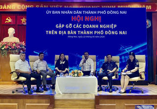 TP Đồng Nai tăng hỗ trợ doanh nghiệp làm thủ tục hải quan