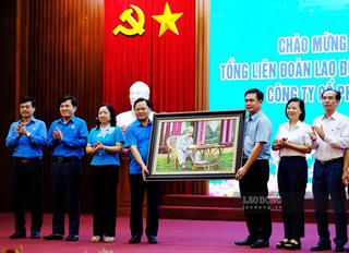 Đề nghị xây dựng mô hình điểm “Lao động giỏi, năng suất cao, thu nhập tốt”