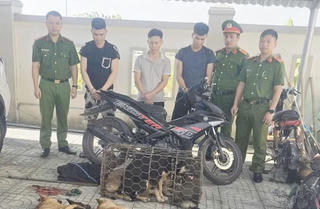 Nhóm đối tượng dùng súng tự chế nối dây điện trộm chó trong đêm