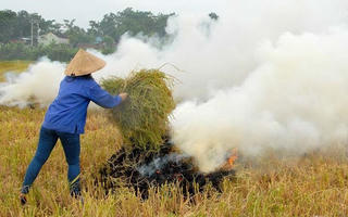 Hà Nội yêu cầu xử lý nghiêm hành vi đốt rơm rạ
