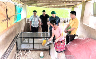 Phình Hồ (Lào Cai) tập trung nguồn lực thực hiện mục tiêu giảm nghèo