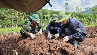 Tìm thấy 20 hài cốt liệt sĩ giữa rừng tràm vùng biên Quảng Trị