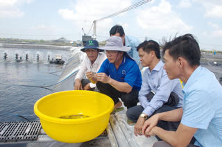 Cà Mau: Xã Đông Hải phát triển nuôi tôm công nghệ cao gắn với bảo vệ môi trường