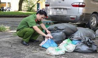 Quảng Ninh: Thu giữ 360kg mỡ, bì lợn bẩn đem đi tiêu thụ