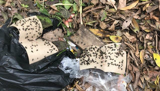 Kinh hoàng trước cảnh rác của khu đô thị Mỹ Đình 1 bủa vây trường học, chính quyền ở đâu?