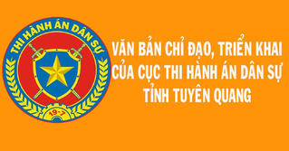Tuyên Quang: Theo dõi tình hình thi hành pháp luật trong THADS 