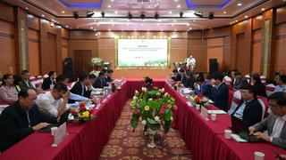 Thúc đẩy tiêu thụ sản phẩm cây ăn quả các tỉnh phía Bắc 