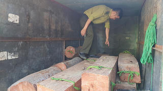 Lâm Đồng: Lâm tặc vận chuyển gỗ lậu, chống người thi hành công vụ