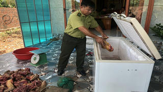 Bị phạt hàng trăm triệu đồng vì mua bán, tàng trữ động vật rừng quý hiếm