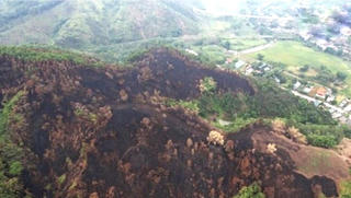 Chủ rừng cẩn trọng nếu không sẽ bị phạt như người đàn ông này