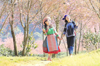 Tôn vinh nét đẹp, giá trị văn hóa trang phục truyền thống các dân tộc Lào Cai 2024